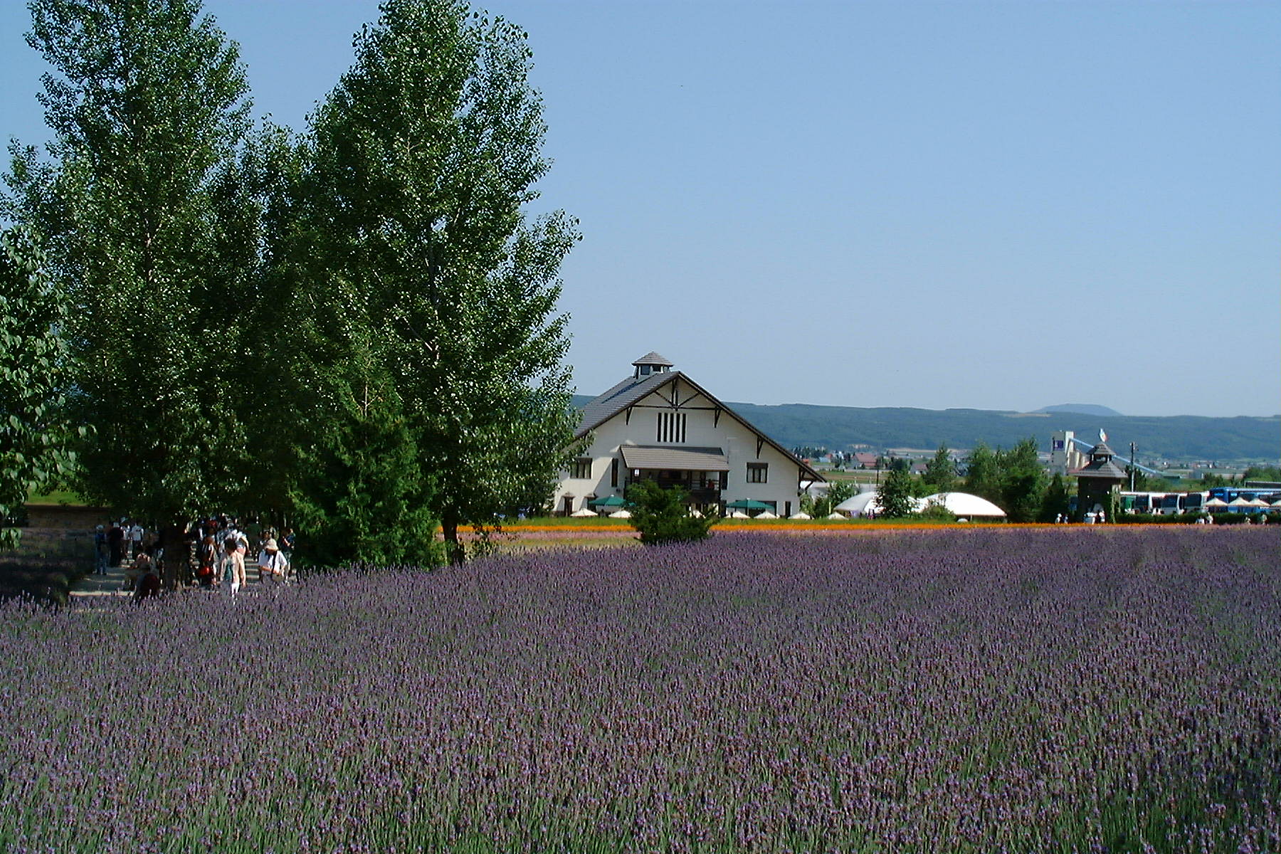 �x�c�t�@�[��