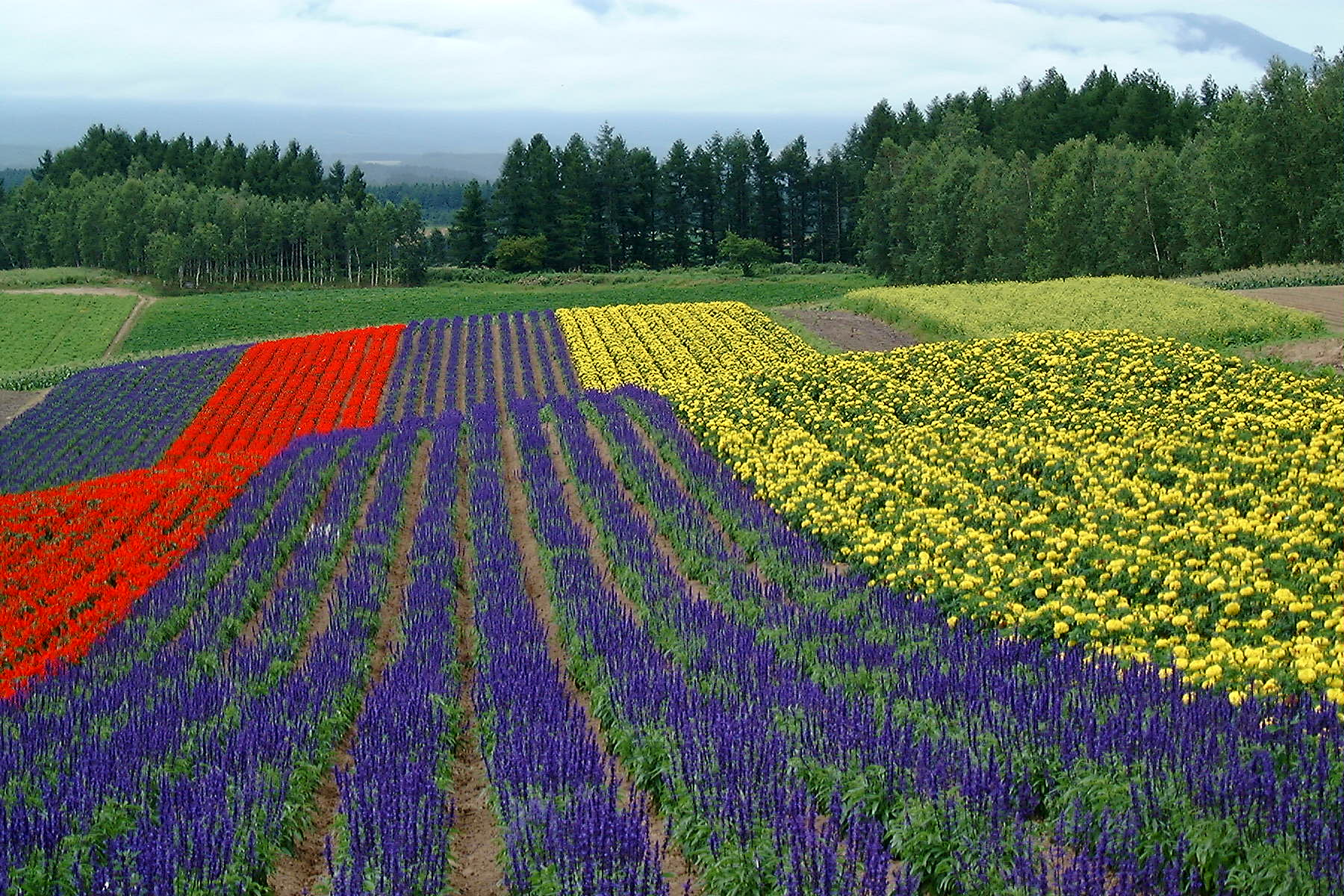 ���l�@�Ԕ�