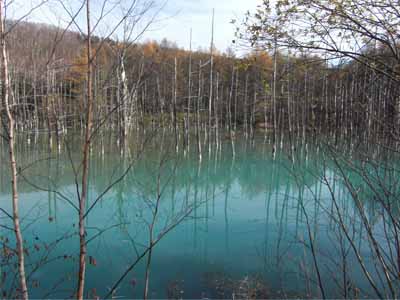 ���l�@���r