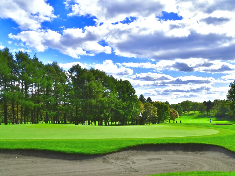 �D�y�S���t�N���u