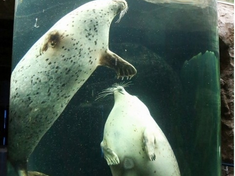 ���R�������@�����炵