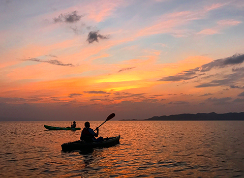 幻想的な世界が広がります