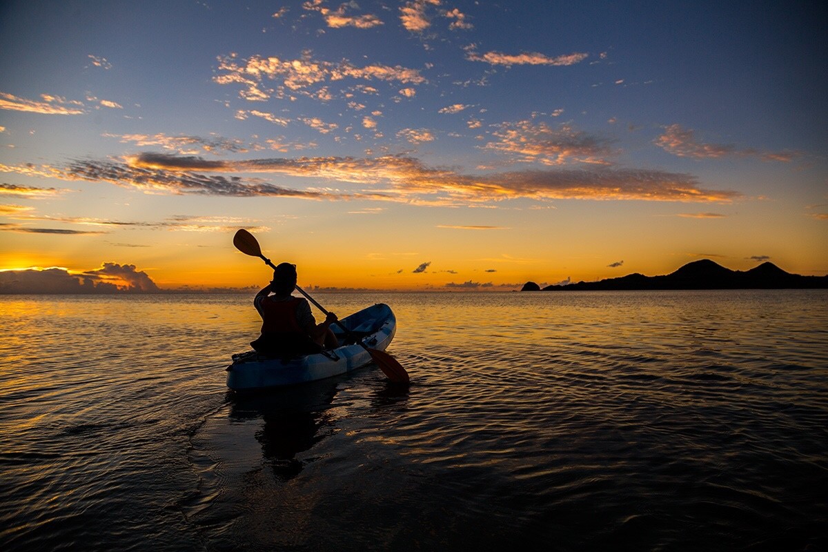 様々なシーンをガイドが撮影しプレゼントいたします