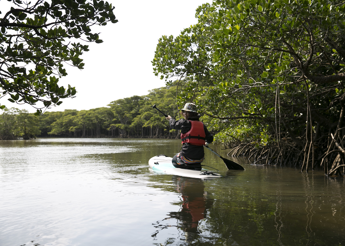 すぐに慣れてスイスイ進めます