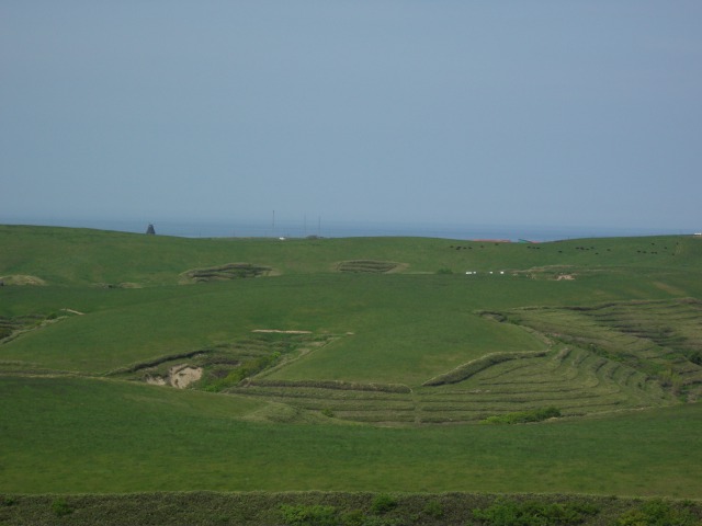 即時予約可 小型タクシーでまわる、稚内空港出発日本のてっぺん最北端観光《平日プラ...