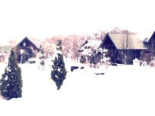 銀世界の雪国で遊ぼう(^^♪