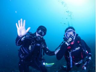 広島県最南端の綺麗な海で体験ダイビング・・・ 初心者でも安心