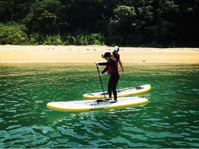 只今、レッスン中