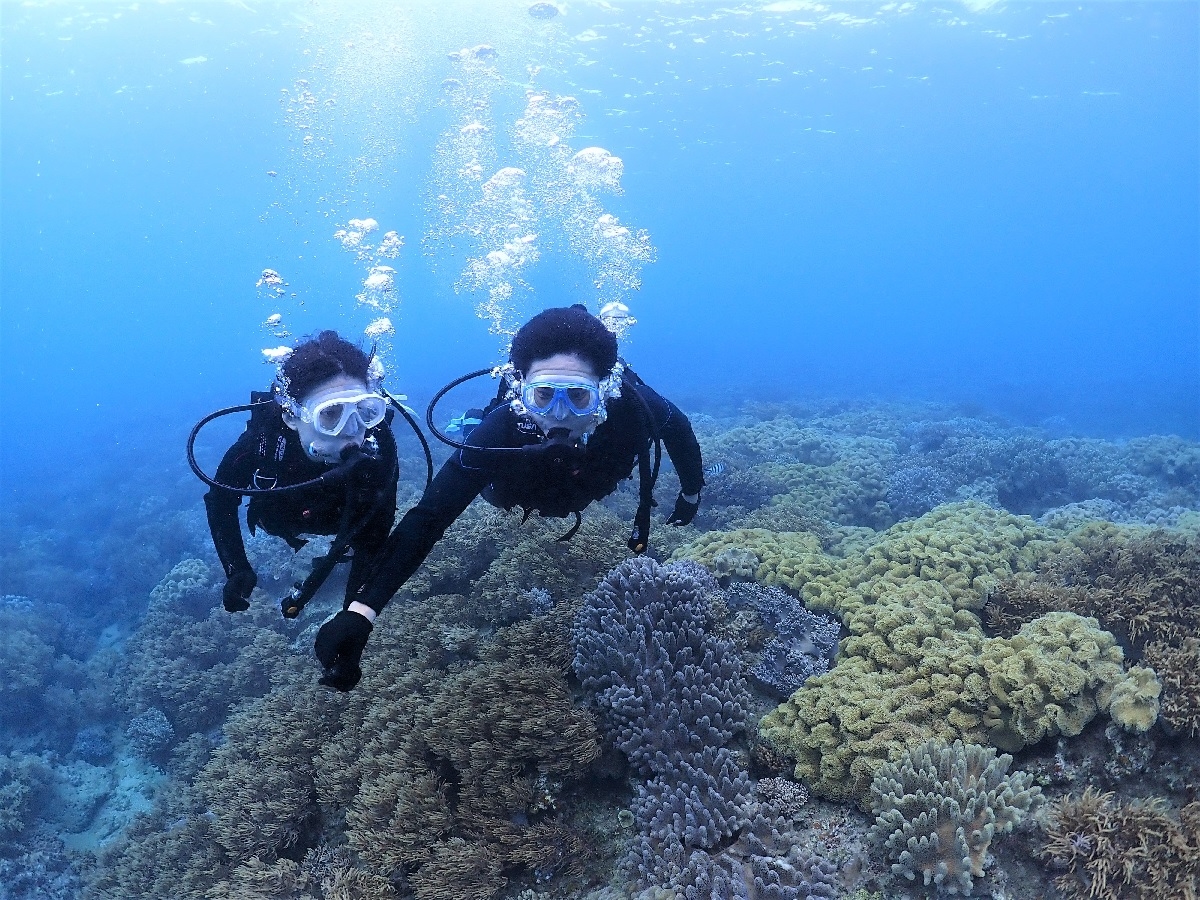 Ko'a and PuPu コア＆ププの割引プラン