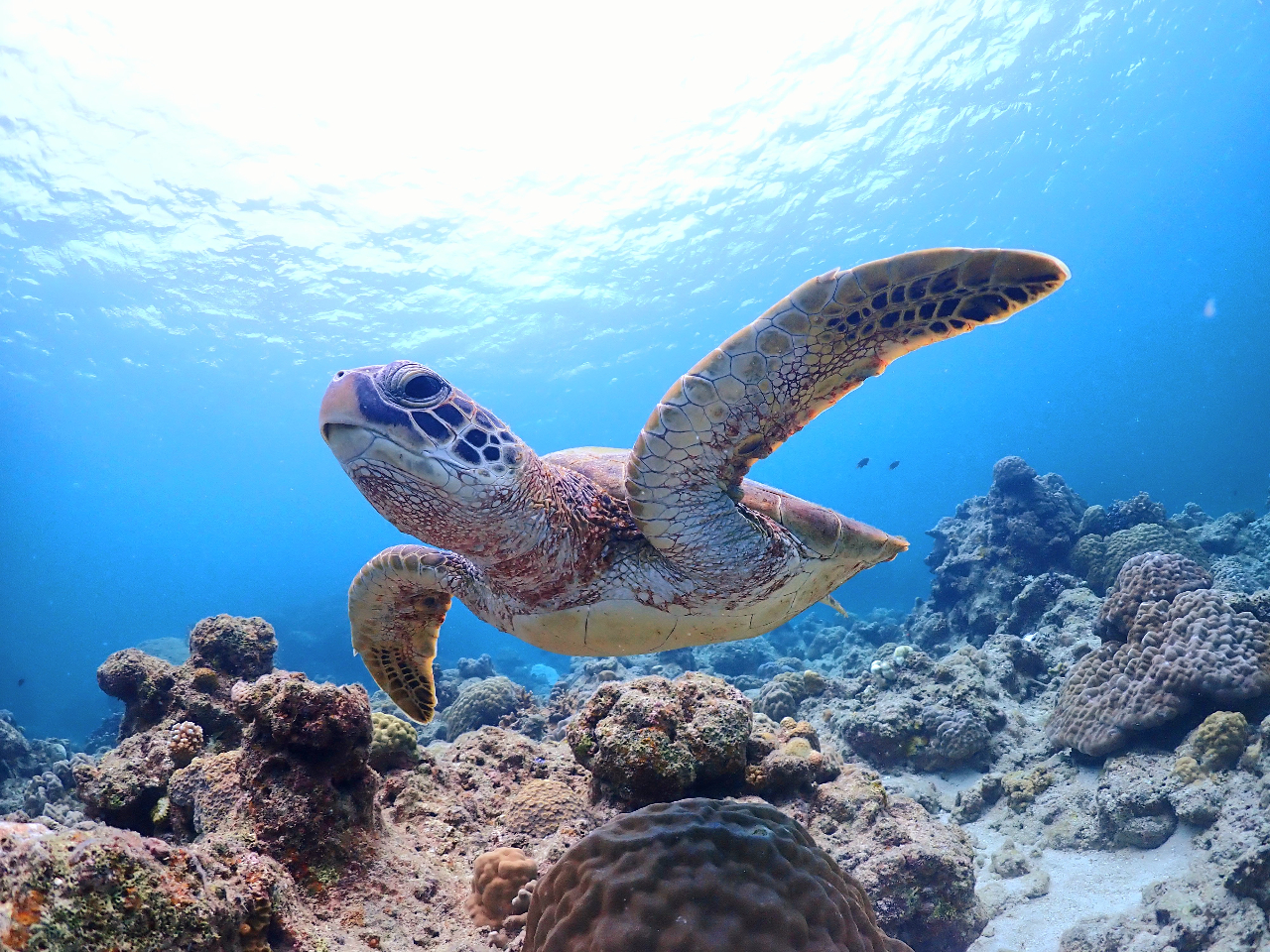 _CrOCZX擾āAE̊CցII