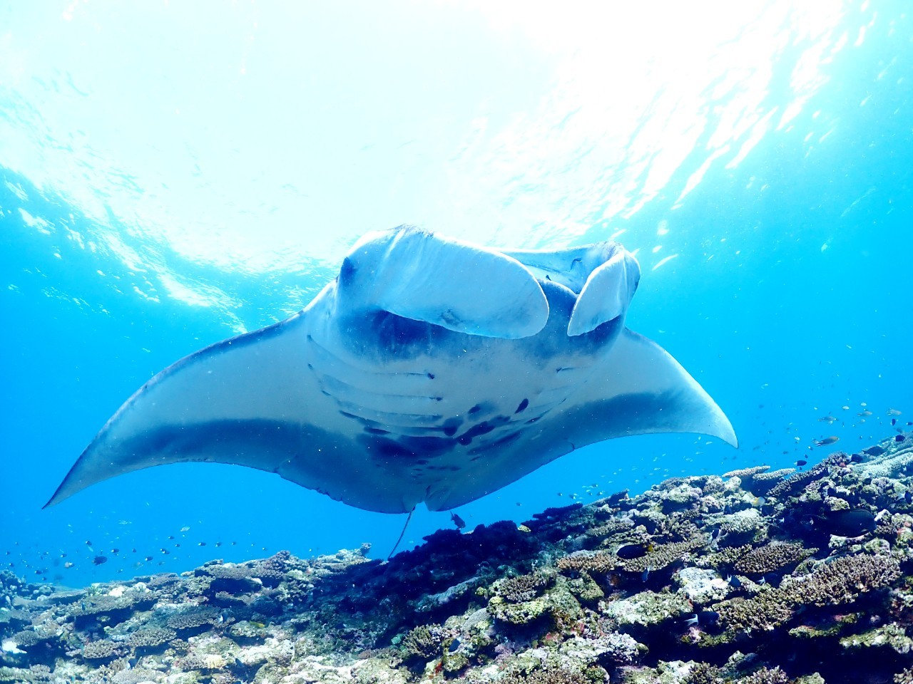 _CrOCZX擾āAE̊CցII