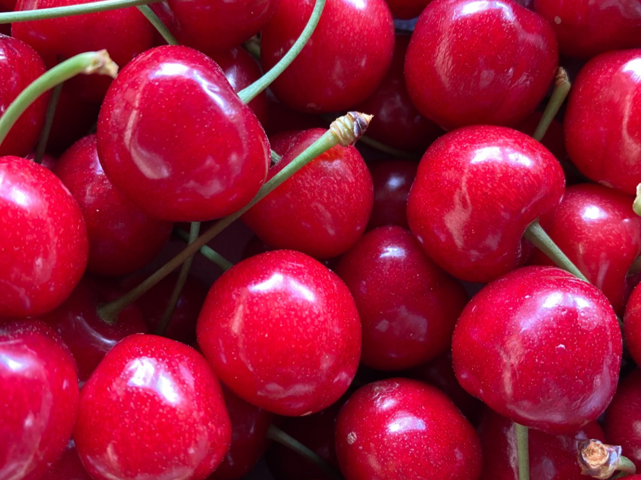 1ЂƂ̍ƂɎԉɂA厩̂ڂܖ