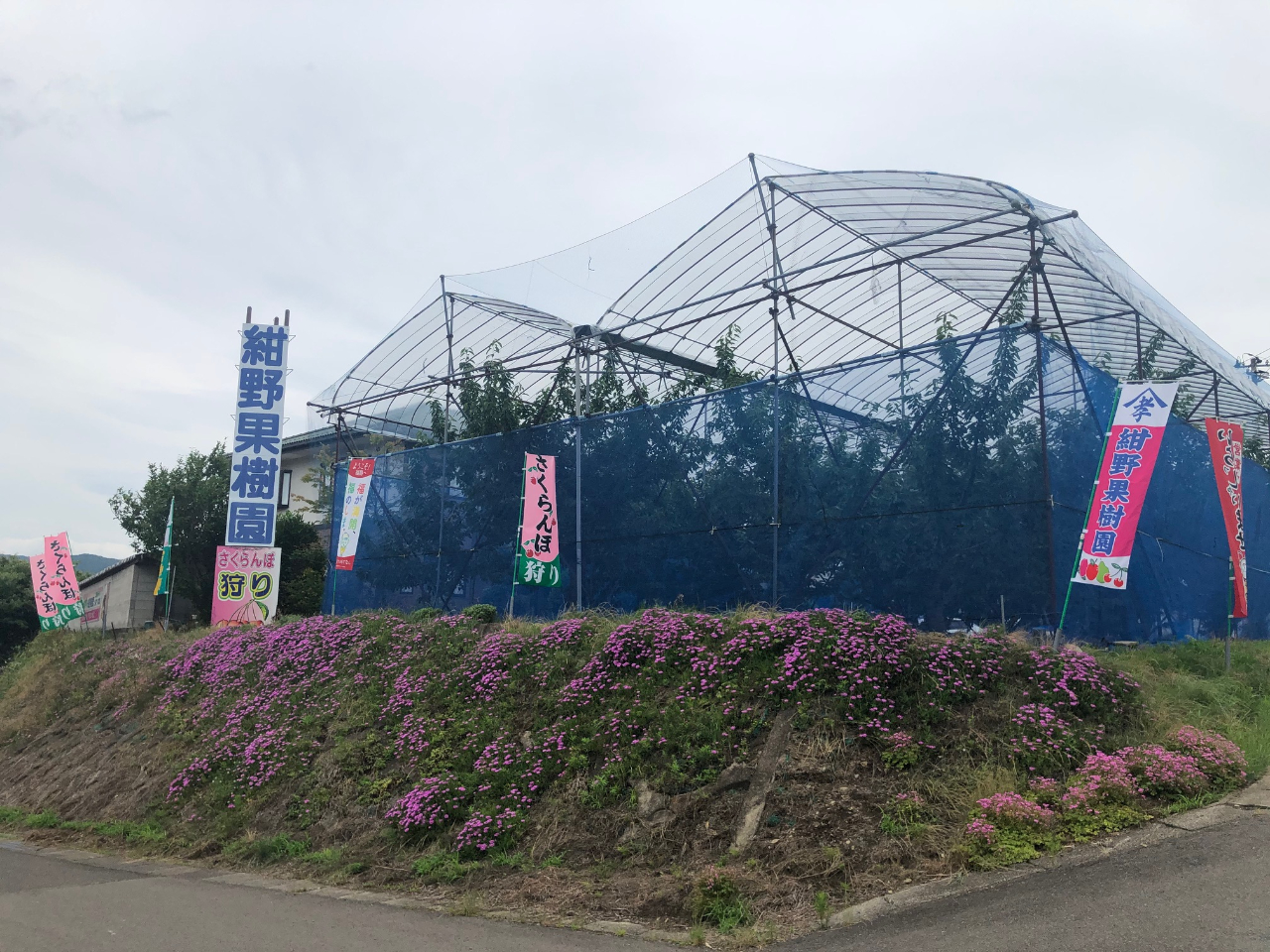 ������̊Ŕ�ڈ�ɂ��z����������