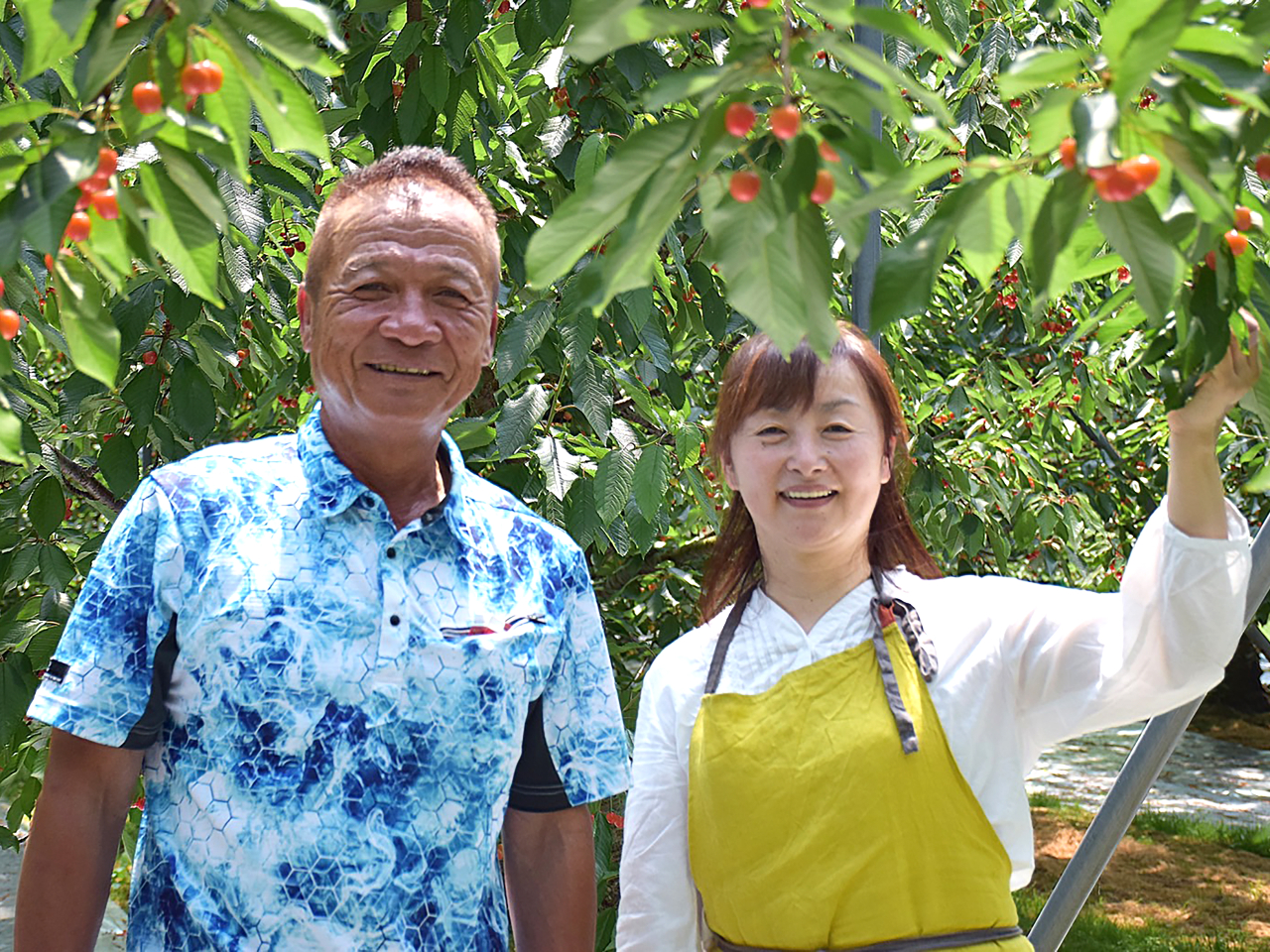 ���B������������Ղ蒍���ň�ĂĂ��܂�