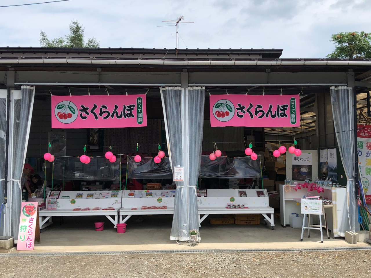 �������ڎ��̌�́A��l�C�̂��y�Y�R�[�i�[�ň�x�݁�