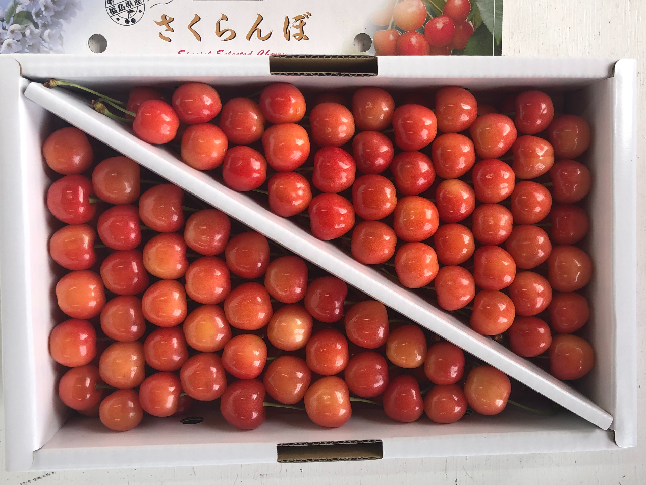 ������p�E�����p�̂������ڂ��̔����Ă���܂��B���y�Y�ɂ��Ё�