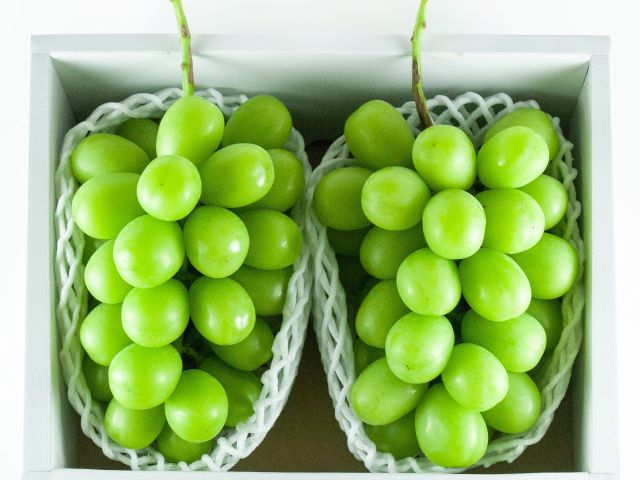 発送も承ります