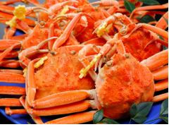 日本海で獲れたズワイガニのメス「せいこ蟹」をまるまる2ハイのってた冬の名物どんぶりをご賞味ください。