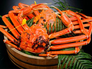 越前港直送のブランドタグ付き越前蟹をアツアツで味わってください。