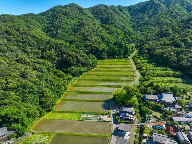 名子棚田米コシヒカリを味わってください