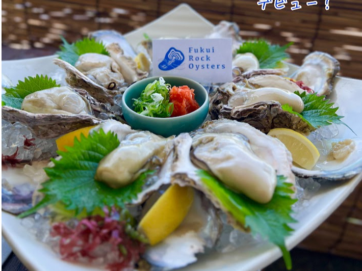 入浴無料【夏だけのひと粒に出会う】海テラスで味わう「ふくい岩がき」贅の三味セレク...