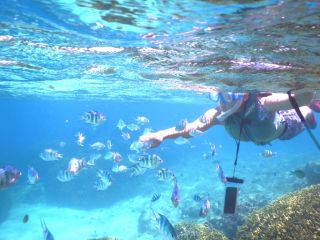 やんばるの海は抜群の透明度!