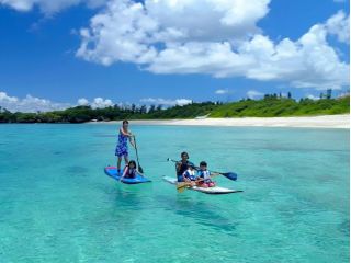 やんばるの海は抜群の透明度!ボードの下にはサンゴとカラフルなお魚がいっぱい!