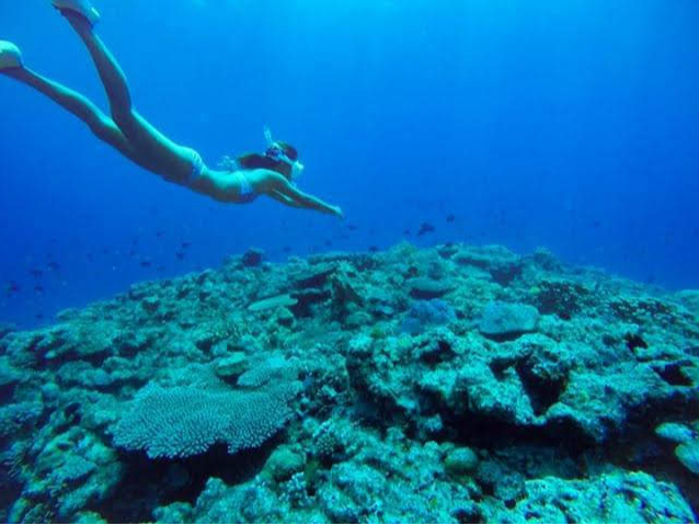 透明度抜群の海へダイブ!