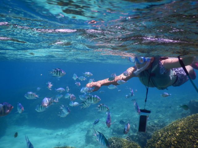 たくさんの魚たちがお出迎え!