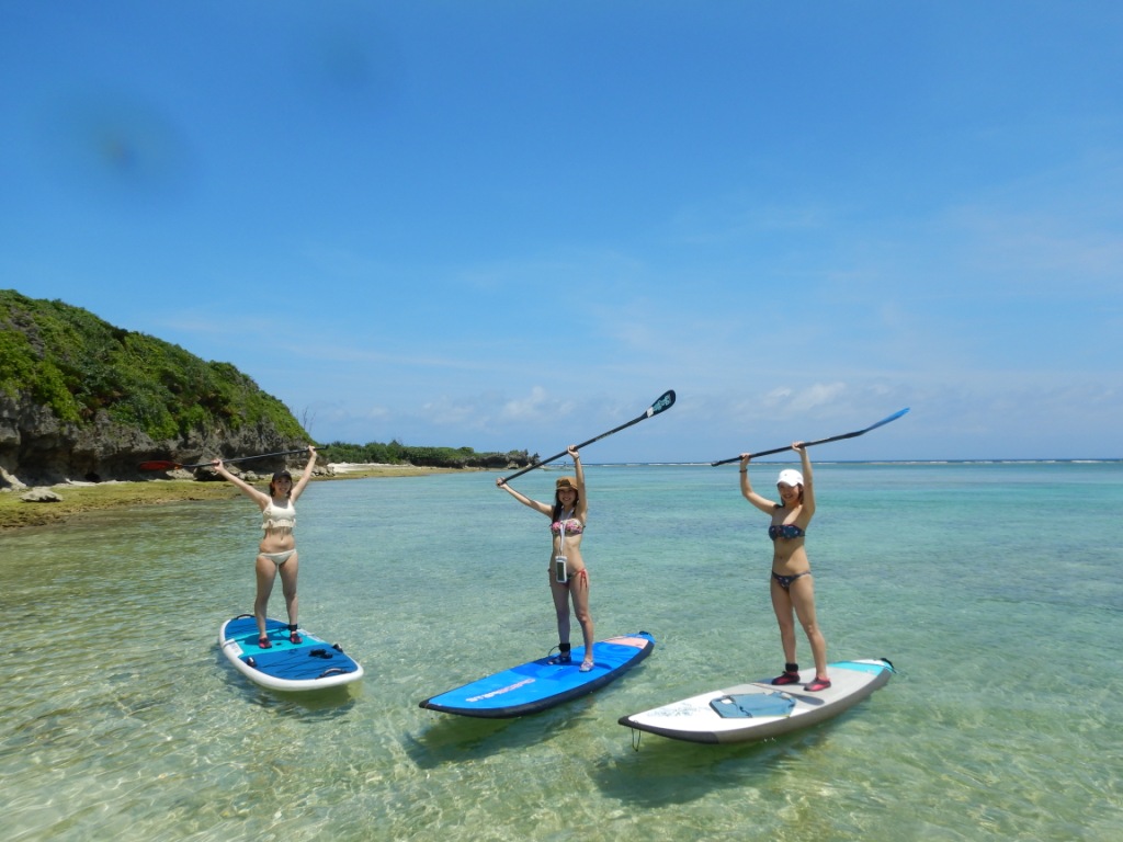 R̃r[`݂kGABcA[̓Vɍ킹ăxXgȃr[`ւēB