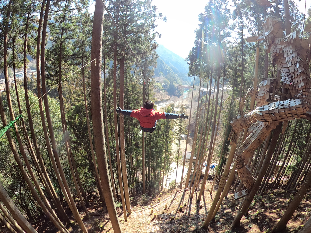 森をぬけるジップスライドはとてもきれいな景色を一望できます