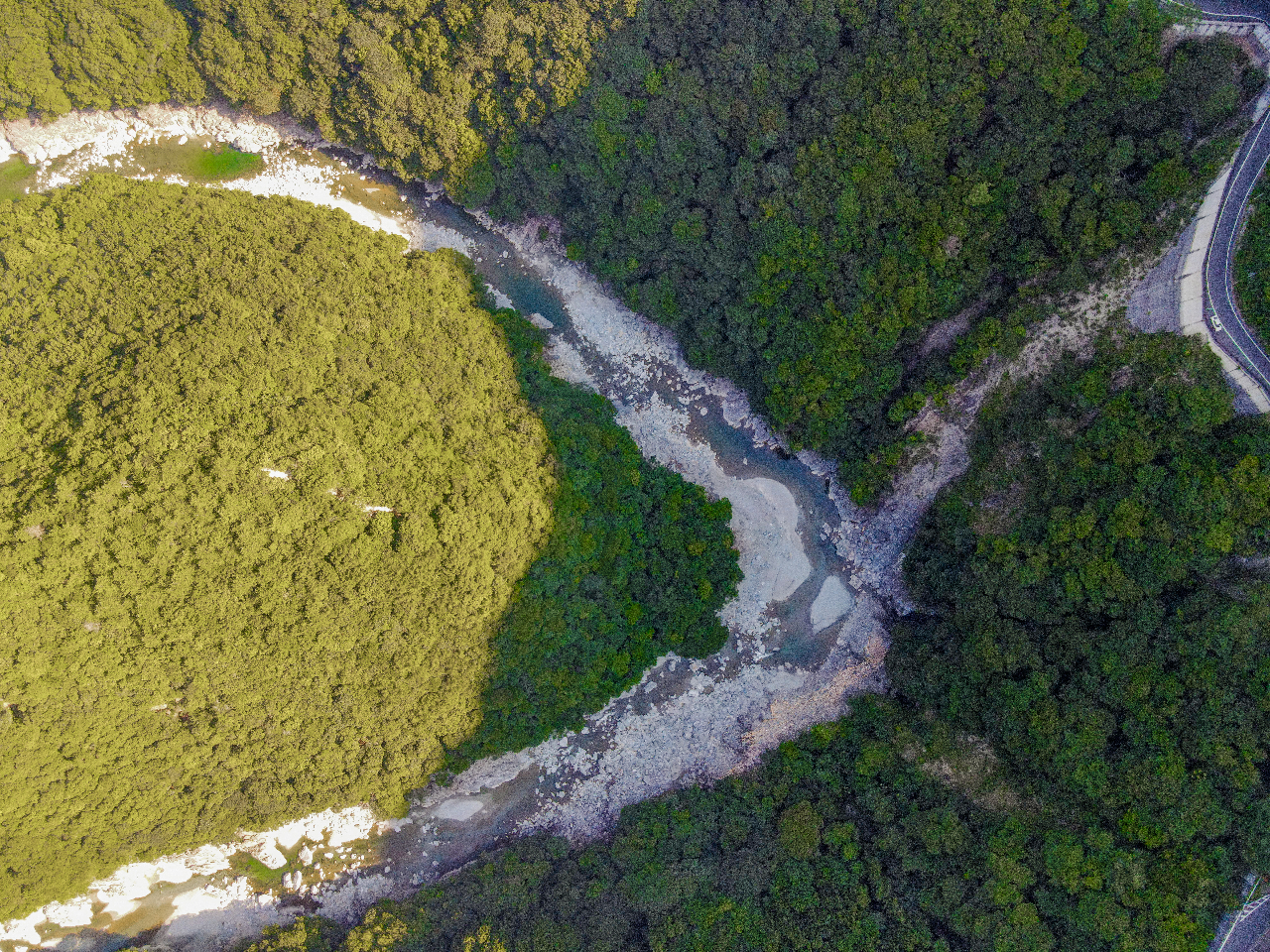 ߂ɁA狴₵ׂ񏬑mAЂ̎kJȂǂ̊όn܂