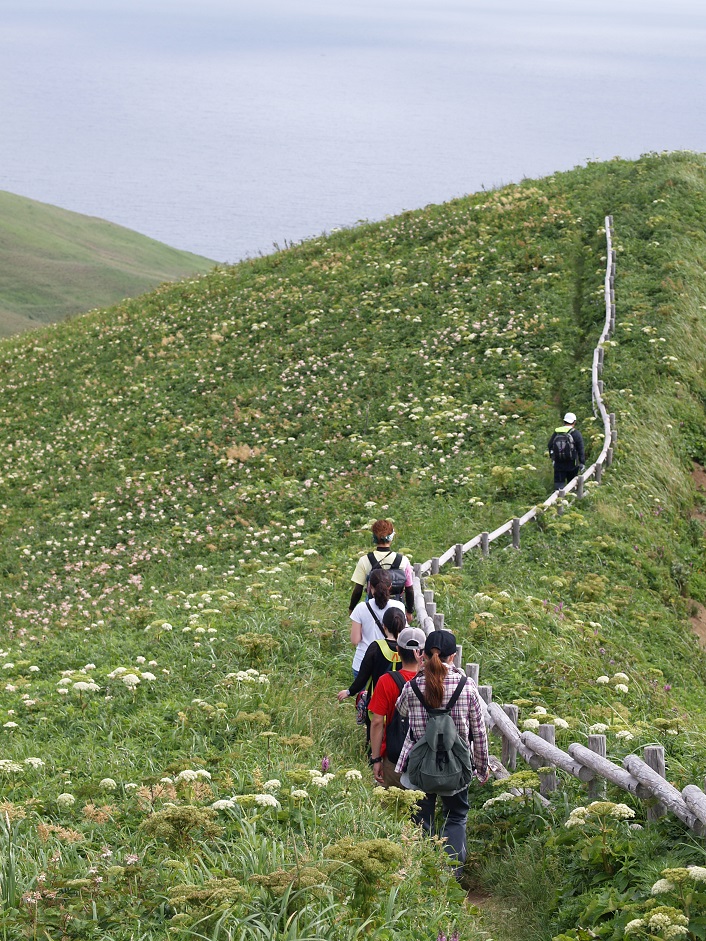 お花畑を行く、岬巡りコース