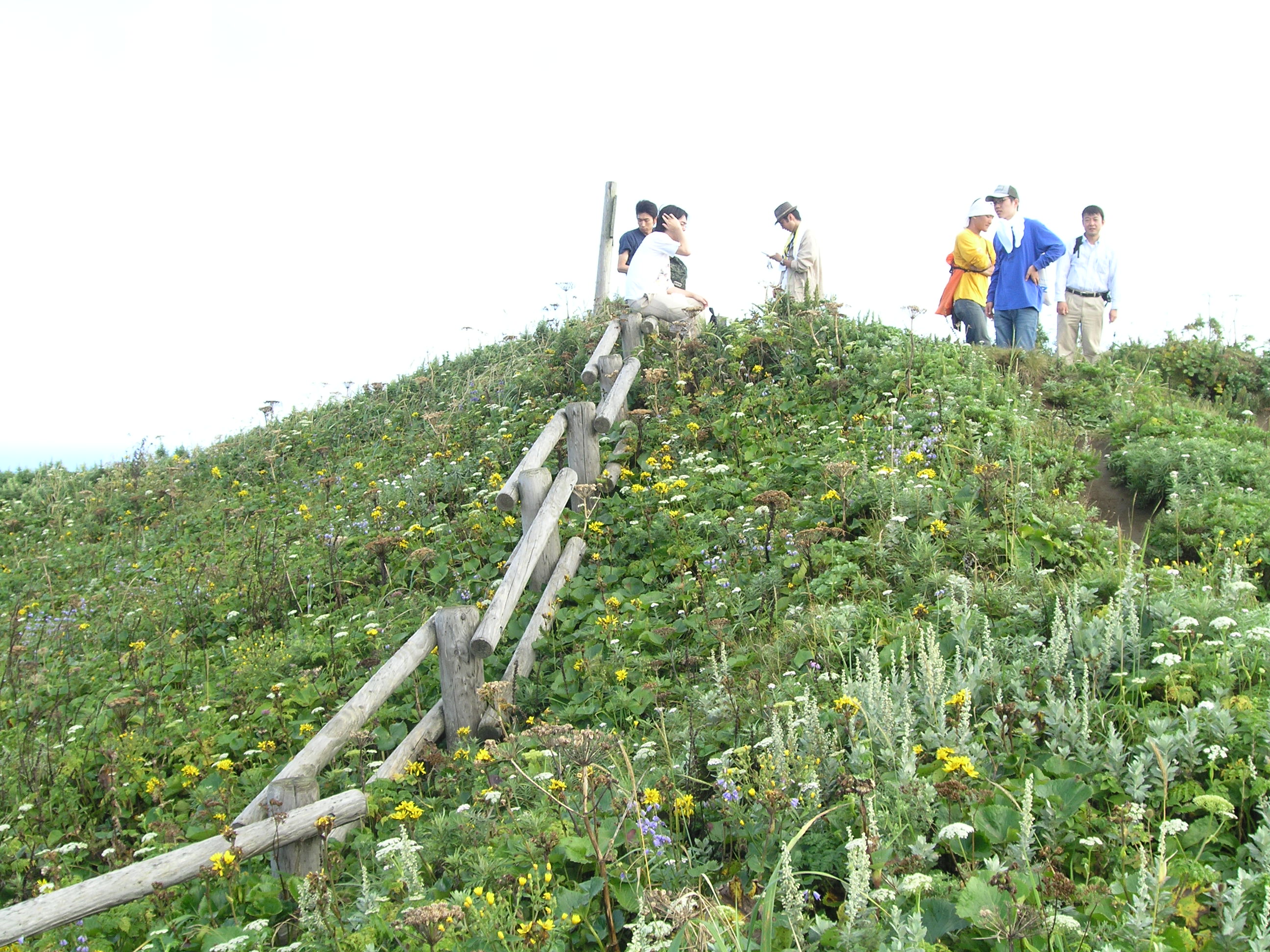 お花畑周辺で休憩中