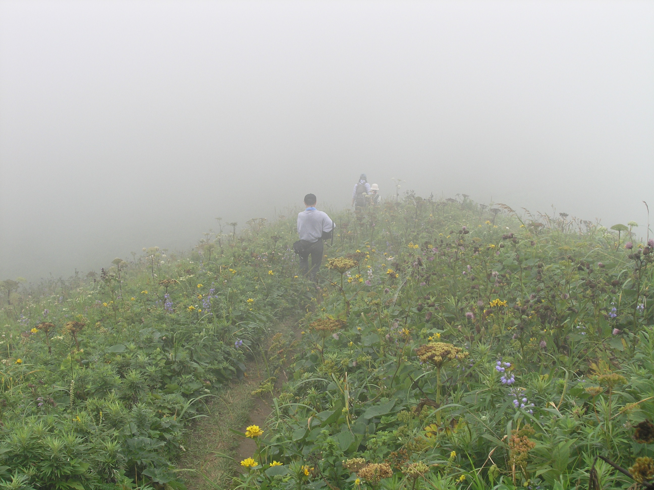 霧の日も多いです