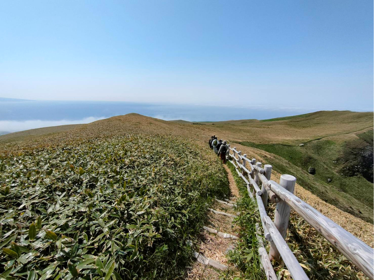 桃岩知床コースの稜線を歩く。