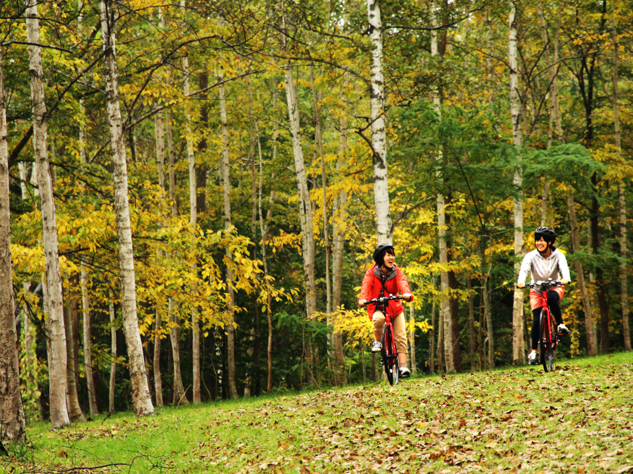 クロスバイクなので未舗装道も走行可。ロードバイクよりタイヤが太めで初心者でも乗りやすい自転車です。