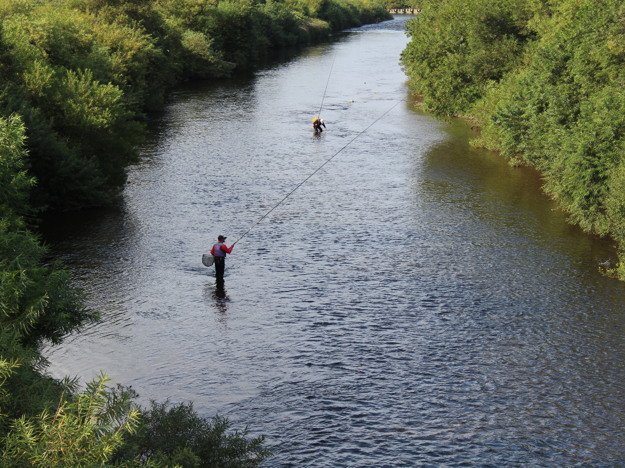 �i��Ёj���������ό�����u�i�k���̗��c�[���Y���̎ʐ^2