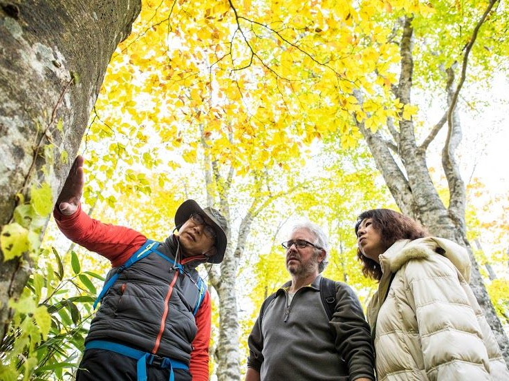 ガイドツアーには、ショートコース(往復約2.5キロ)とロングコース(往復約4.5キロ)からお選びいただけます。