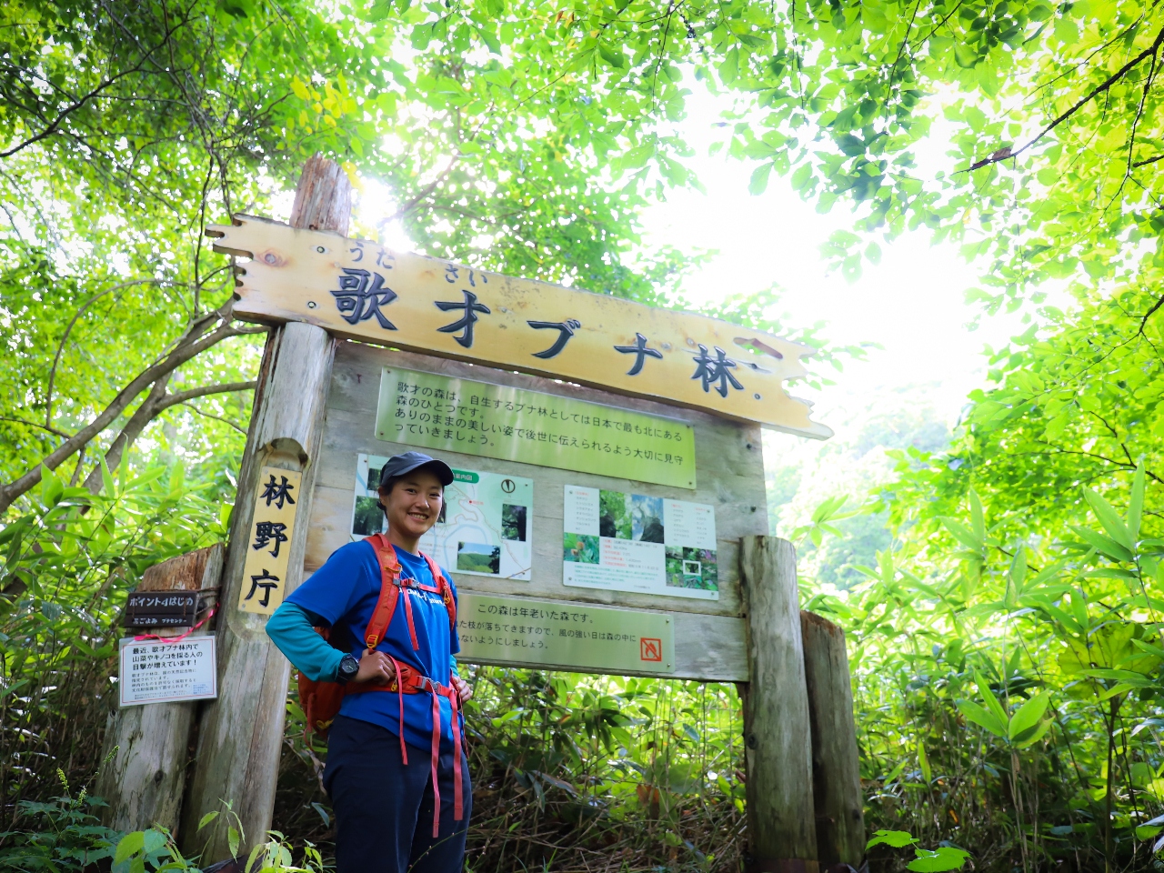 国の天然記念物歌才ブナ林の入り口に設置された看板