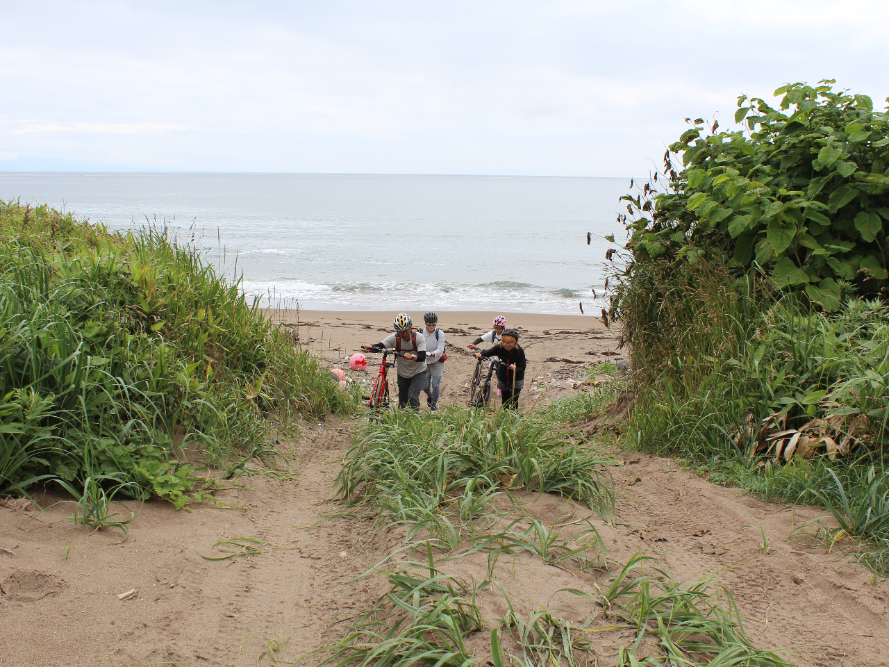 こんな感じの場所から波打ち際へ