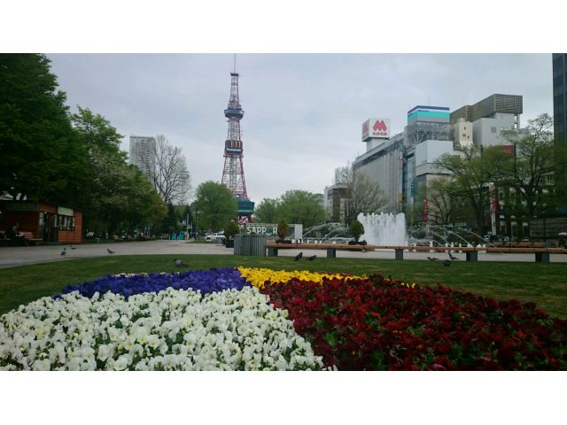 札幌市内3時間フリー観光 3時間 関口タクシー じゃらん遊び体験 札幌市内3時間フリー観光 3時間 関口タクシー じゃらん遊び体験