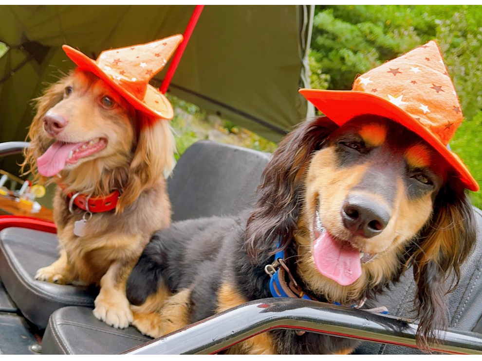 季節のイベントアイテムも無料貸出♪