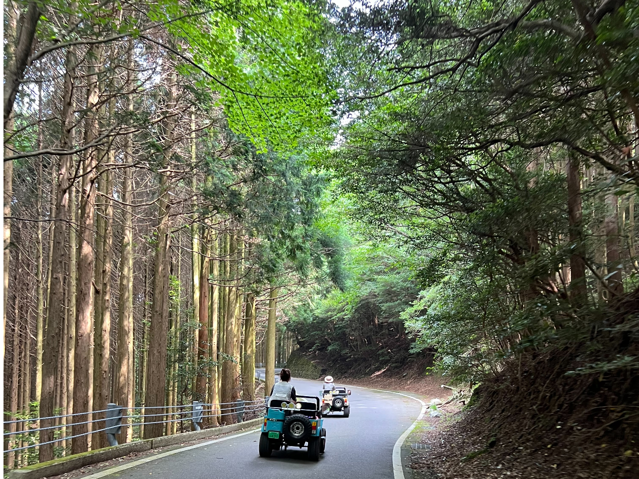 仁田峠、ここは一方通行なので前から車が来ることはない。大自然のパノラマは是非、ツアーで