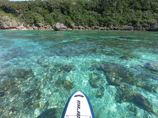 SUPからの目線。海の中が良く見えます。
