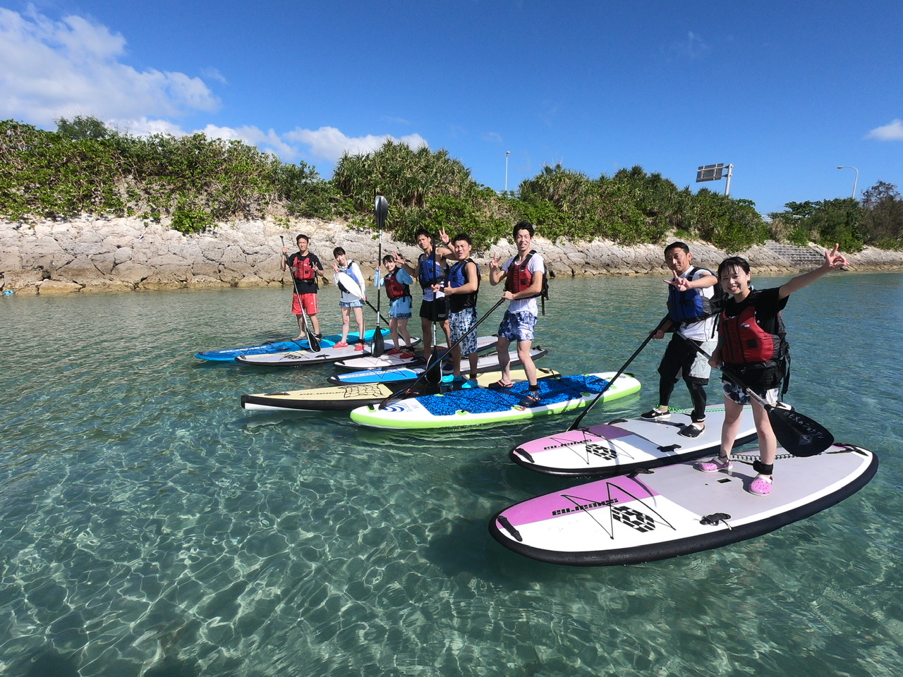 ~łSUPoN₩ȊCBNxłI