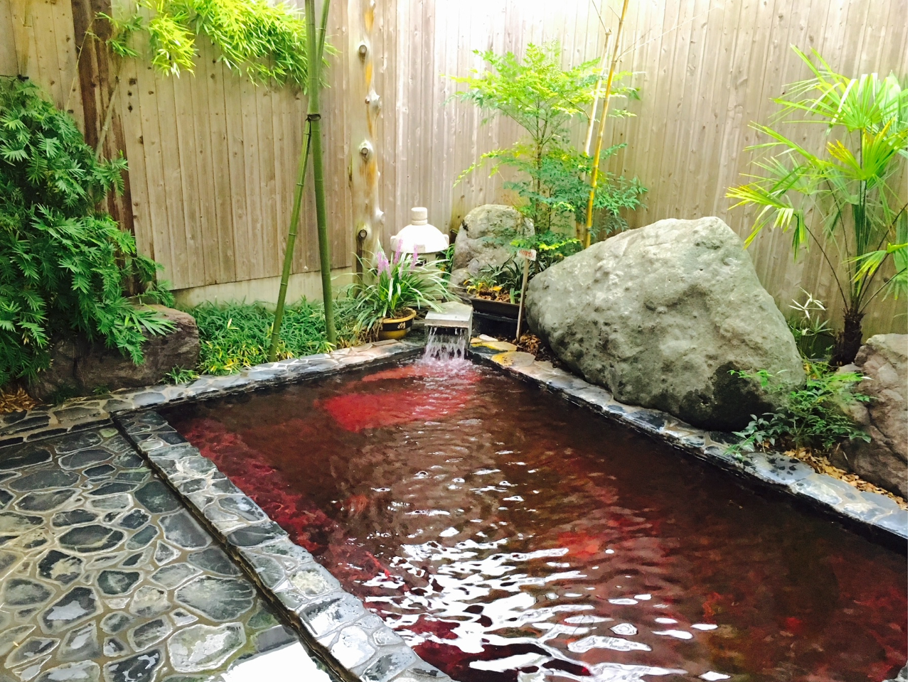 �a�����C���I�V���C