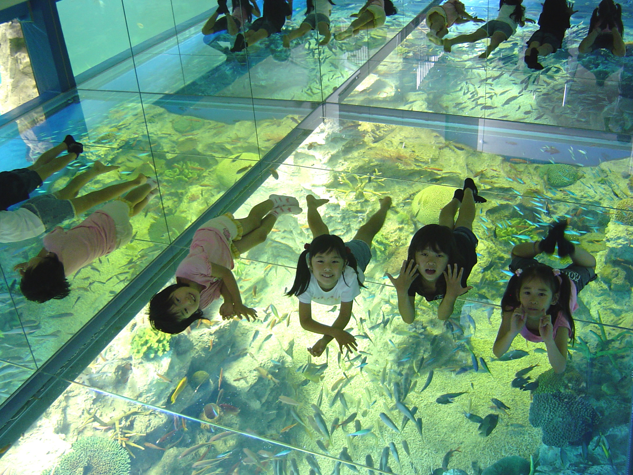 ガラス張りの床で海面浮遊体験が楽しめます♪水族館のイチオシ写真スポットです★