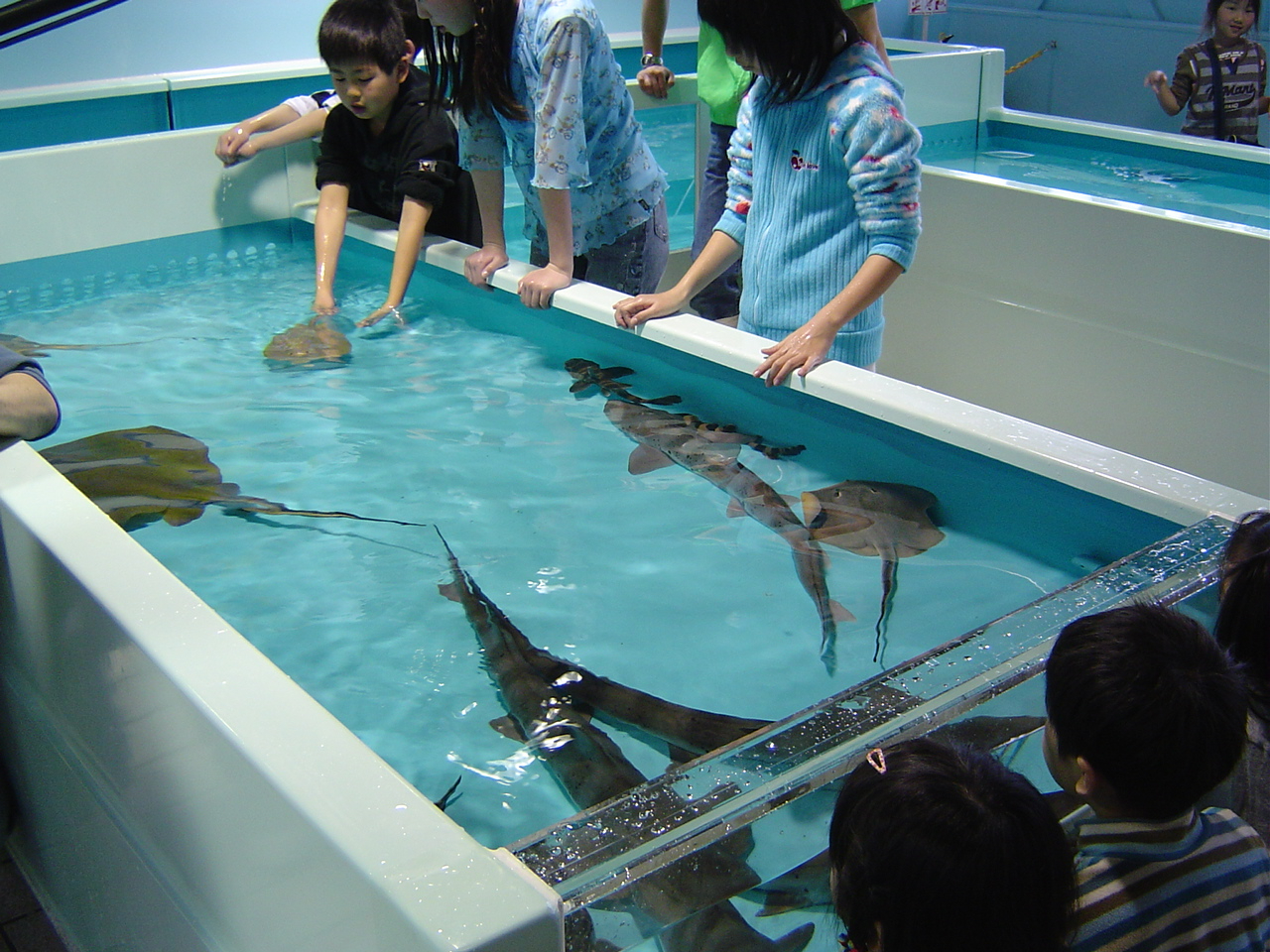 ӂꂠقł́ATGCȂǂG邱Ƃł܂