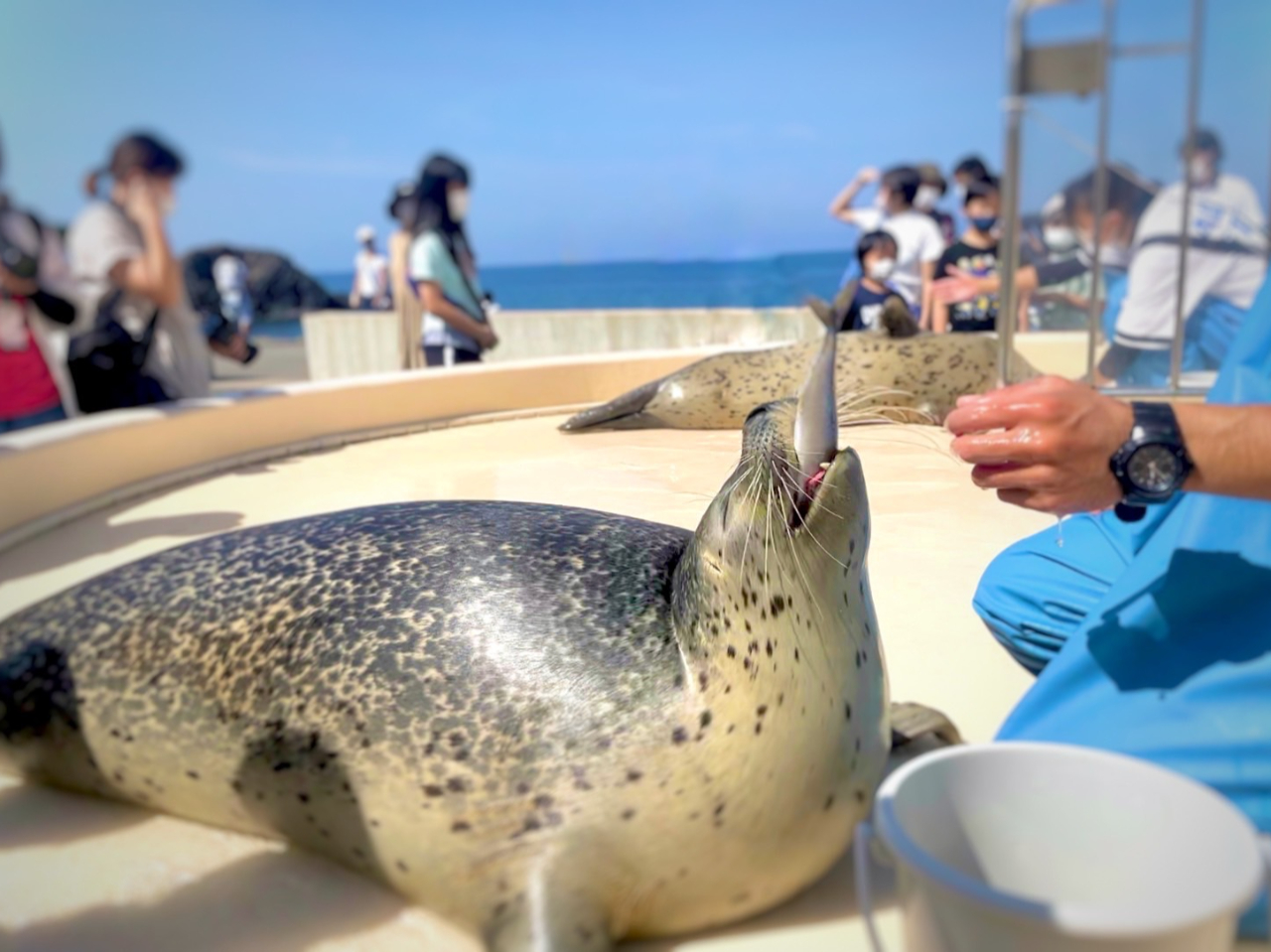 AUVӂꂠ^Cł́AHׂĂpԋ߂Ō邱ƂAۂɃAUVɐG邱Ƃo܂c